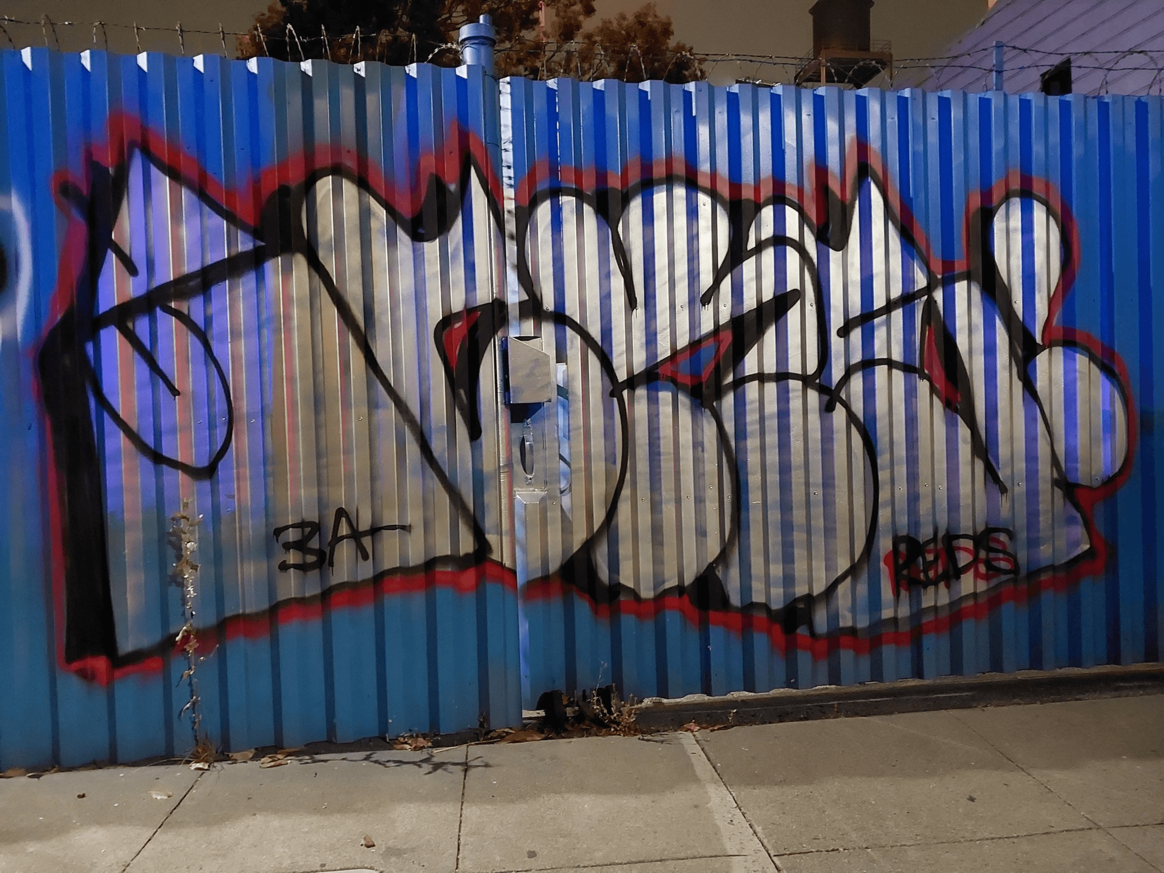 A blue corrugated metal fence is covered with stylized graffiti in bold black and silver letters, outlined in red. The ground is covered with some fallen leaves.
