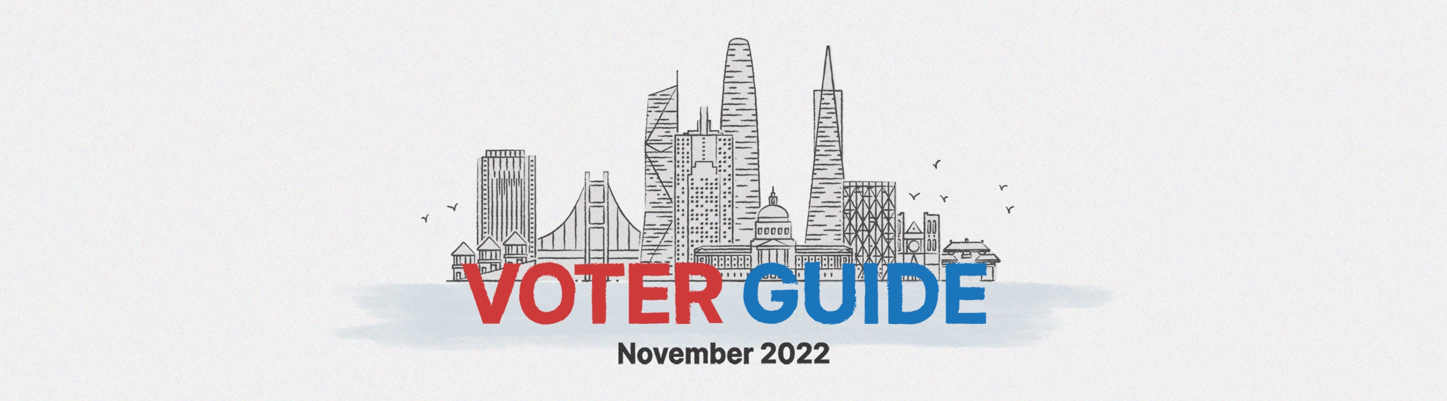 voter guide banner